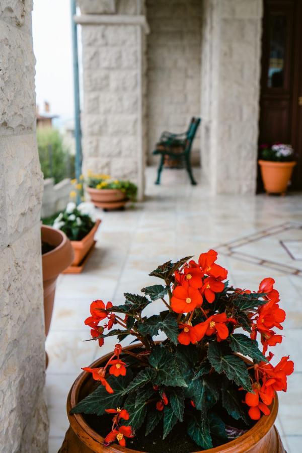 Veria Panorama Luxury Suite With Garden. Exteriér fotografie